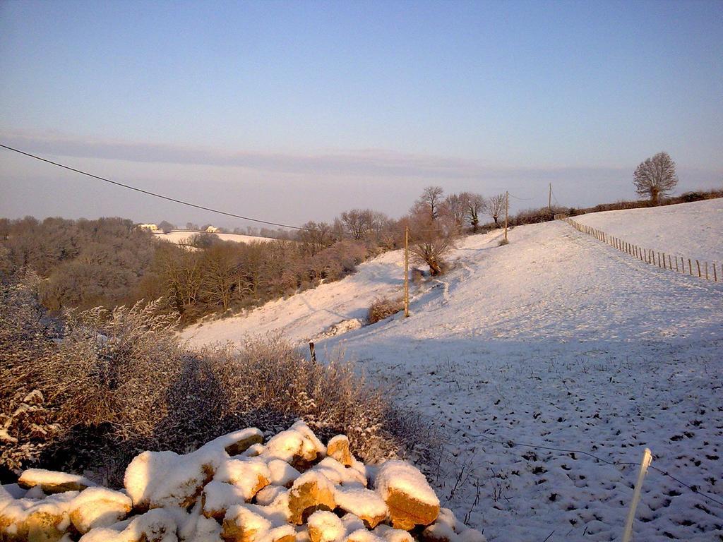 Domaine De Noyer Saint-Christophe-en-Brionnais Quarto foto